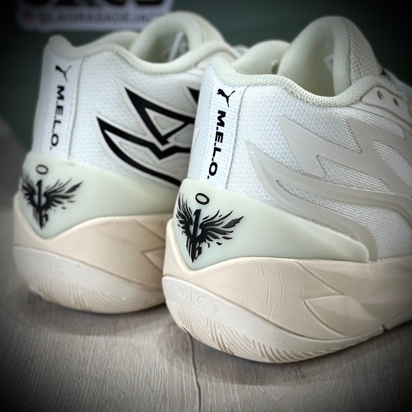 PUMA MELO NOT FROM HERE