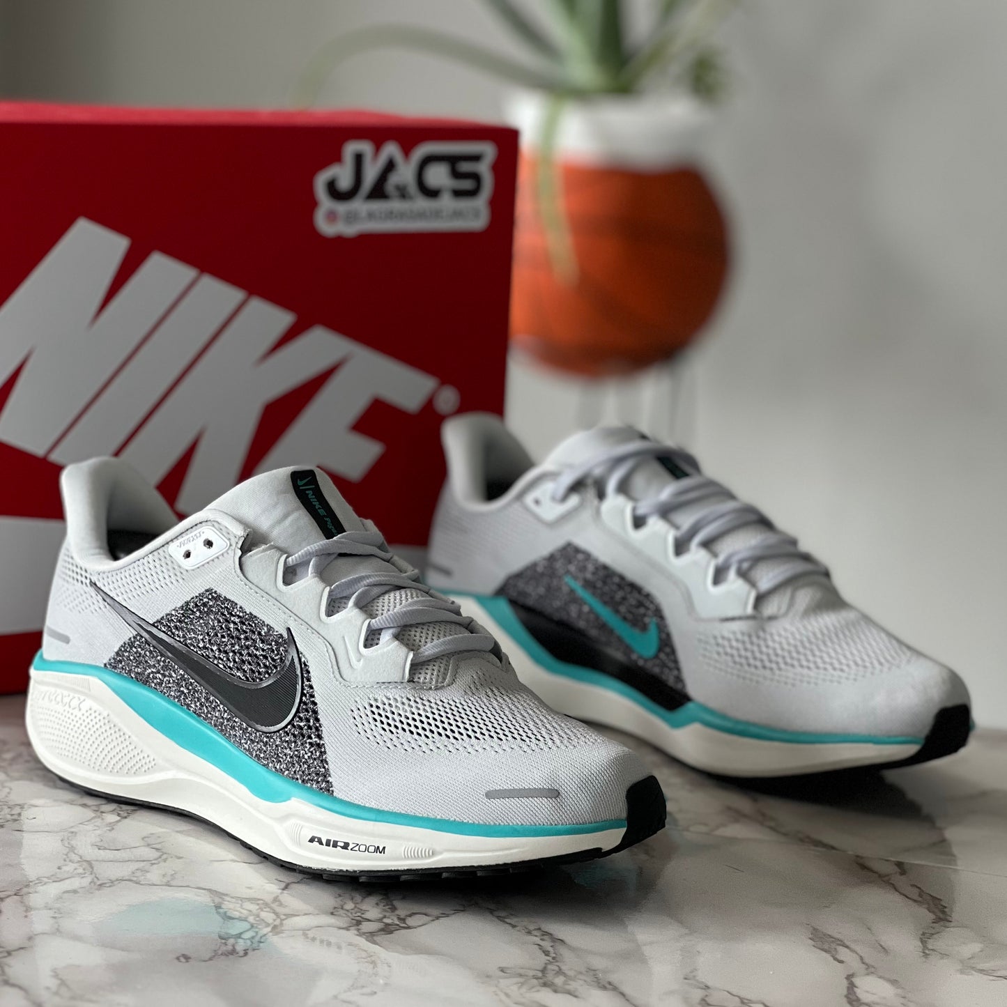 PEGASUS 41