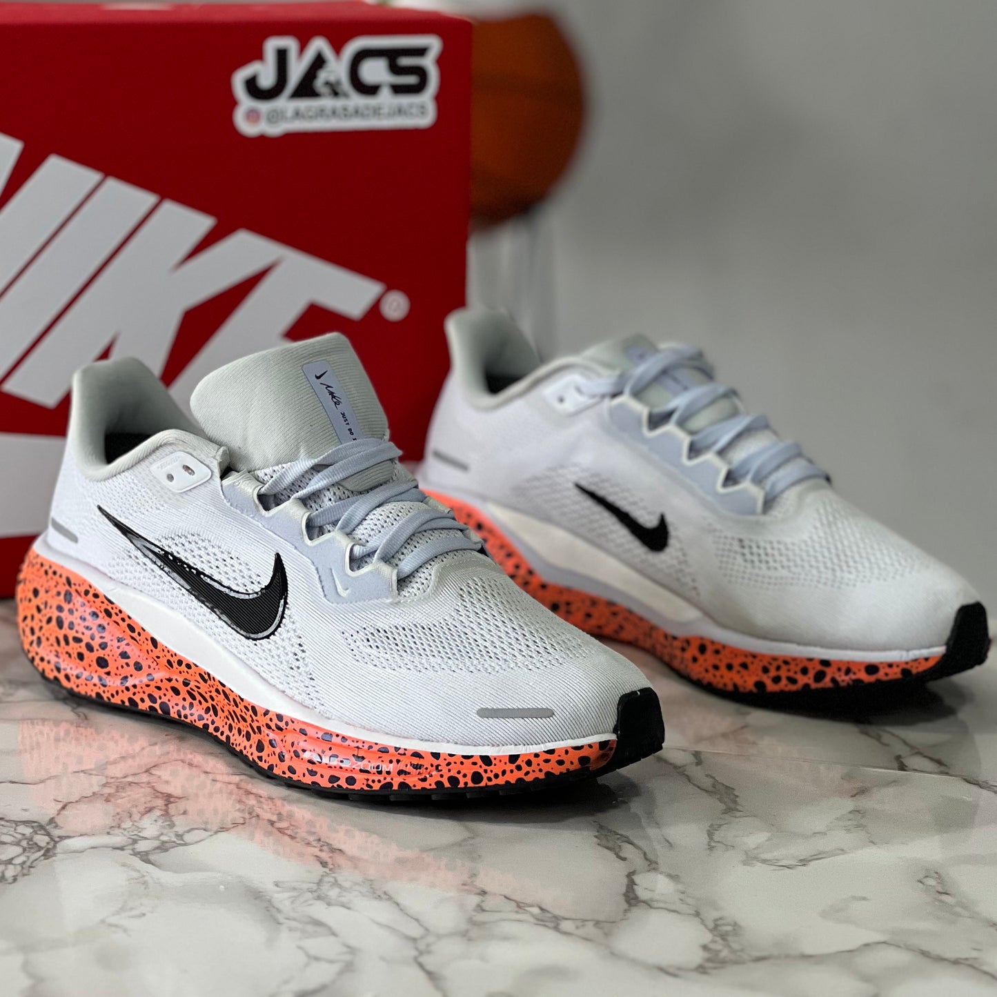 PEGASUS 41