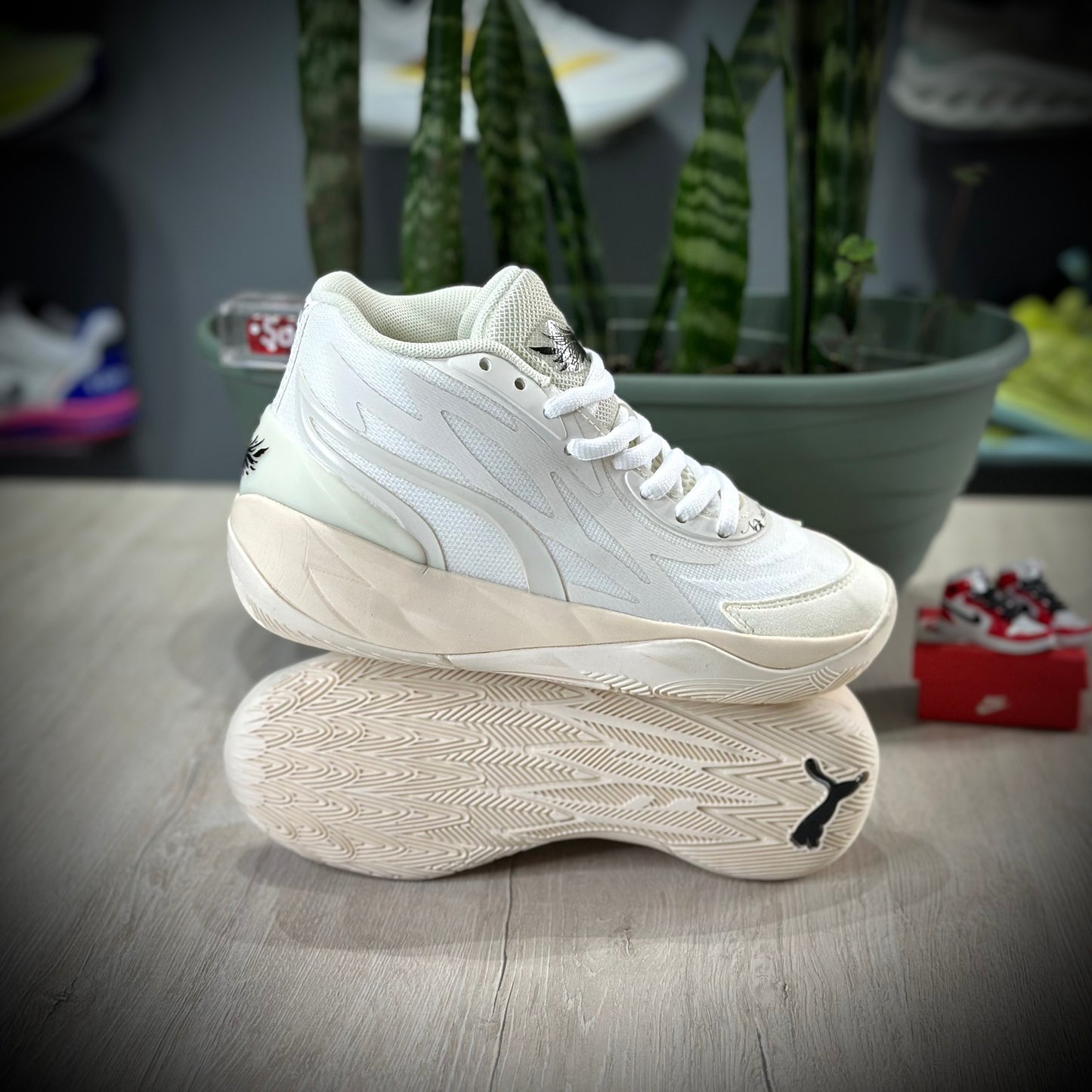 PUMA MELO NOT FROM HERE