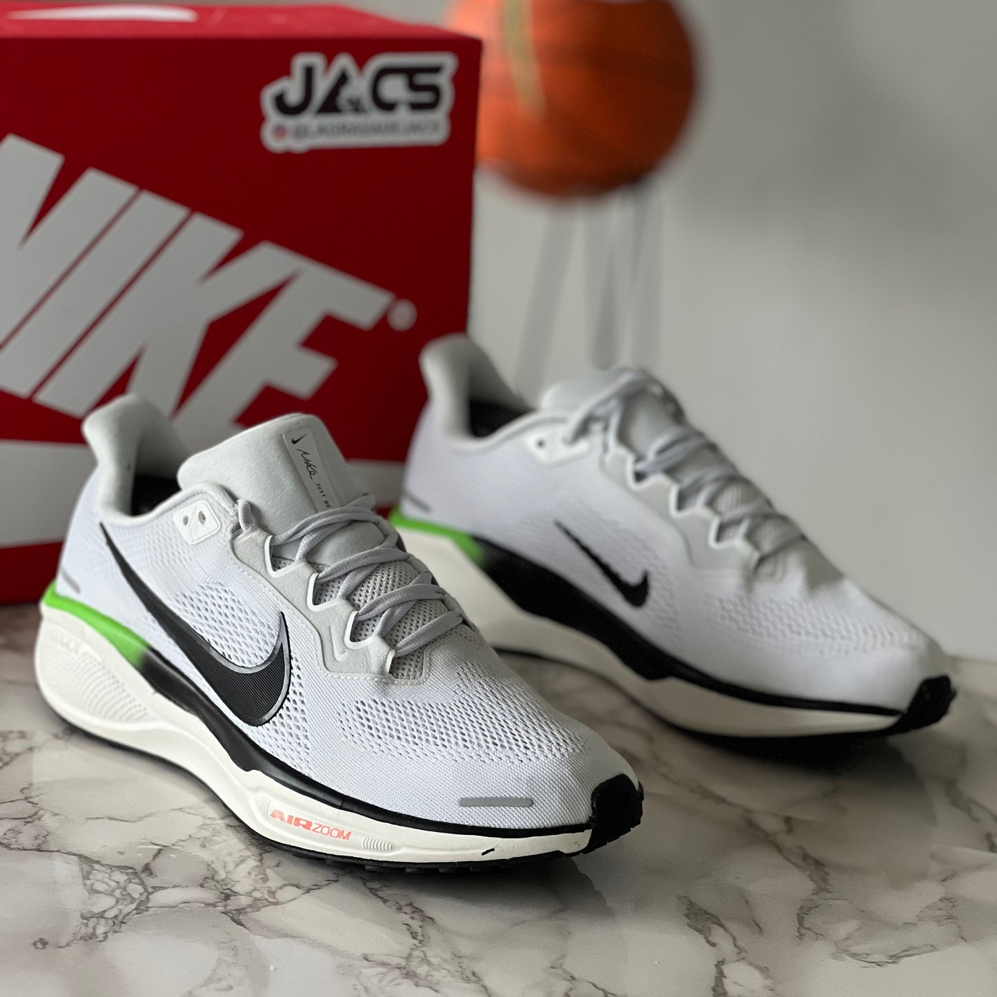 PEGASUS 41