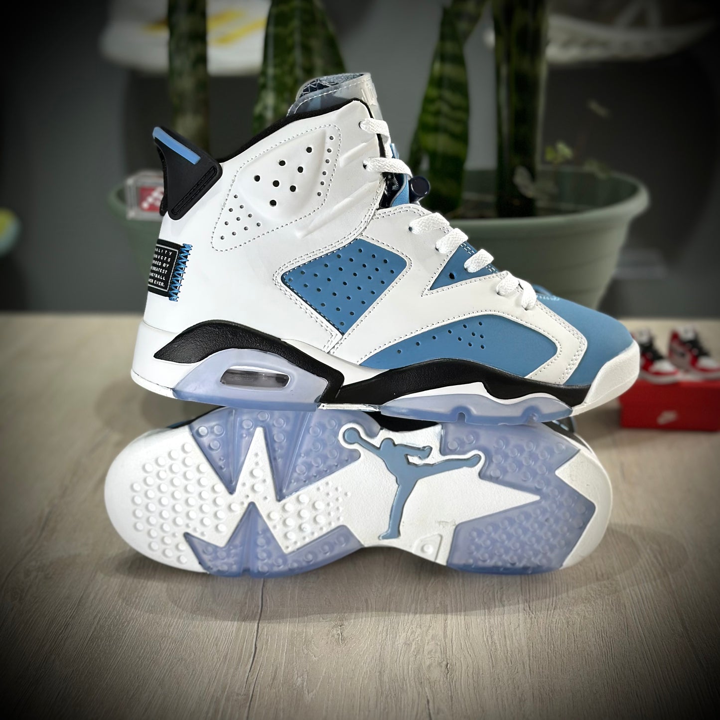 JORDAN 6 UNC WHITE