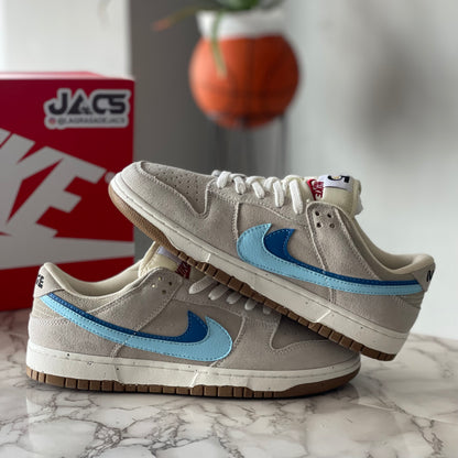 NIKE SB LOW GREY SKY