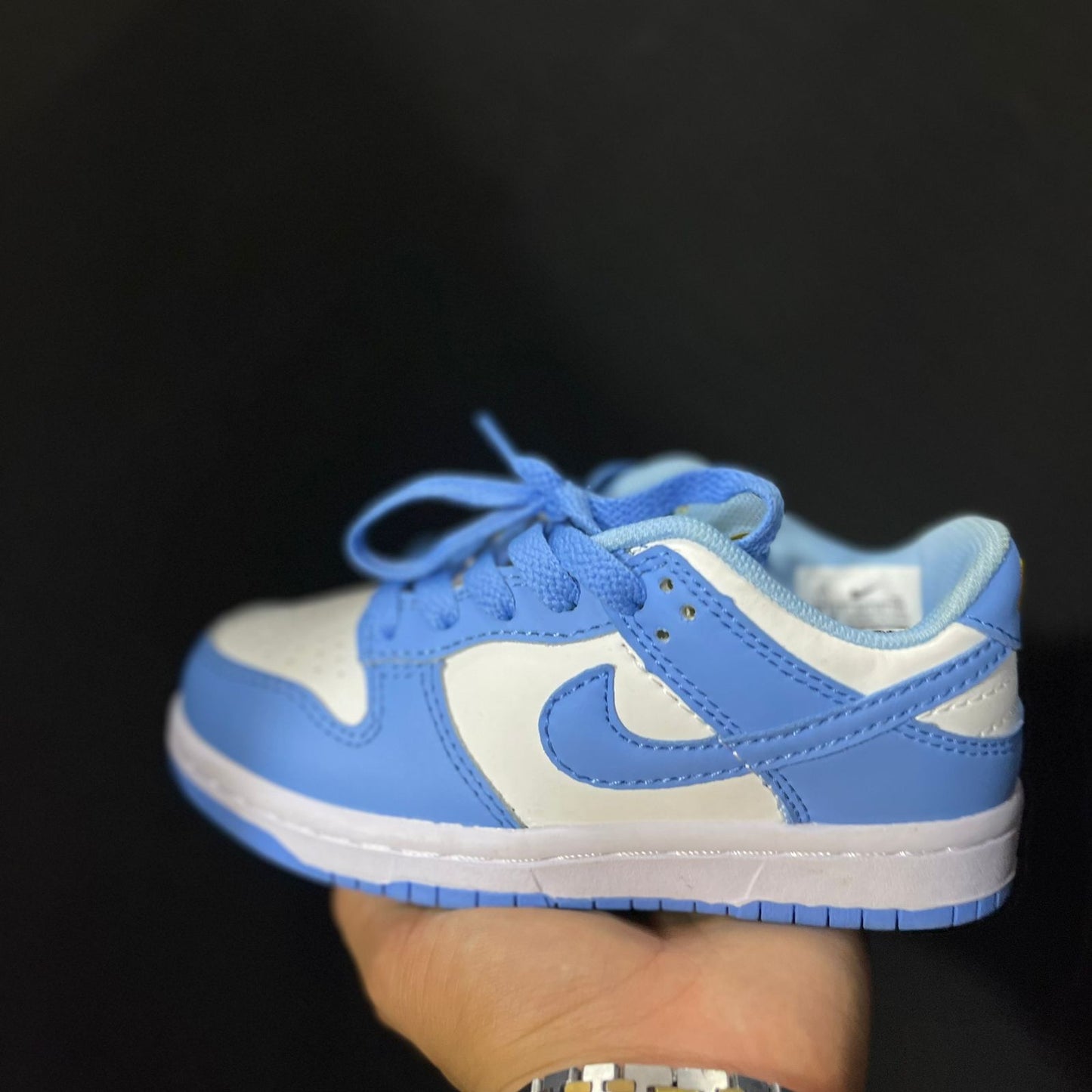 NIKE SB